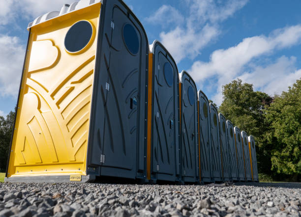 Best Portable Restroom Removal and Pickup  in Cologne, MN